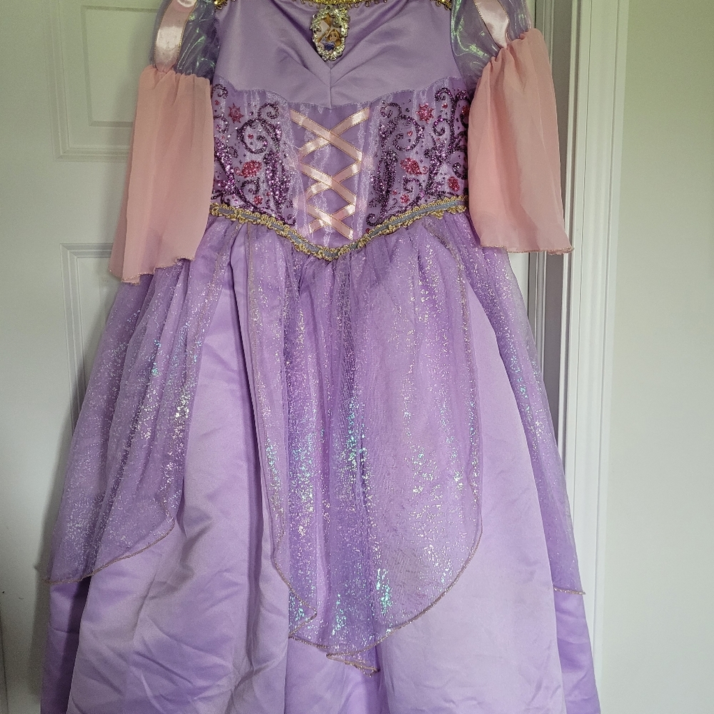 Disney Rapunzel Princess Costume